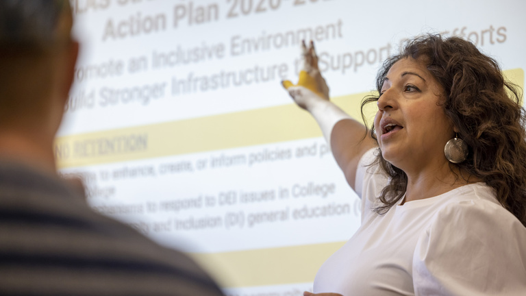 Liz Mendez-Shannon leading a CLAS DEI committee meeting